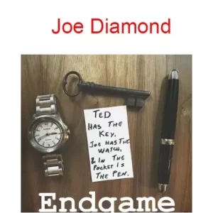 EndGame By Joe Diamond