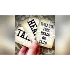 FLIP OUT By Joel Dickinson