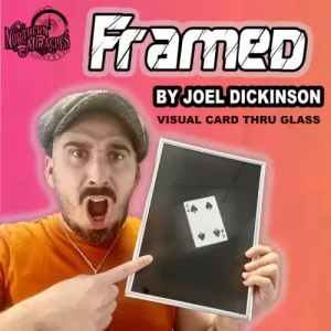 FRAMED By Joel Dickinson