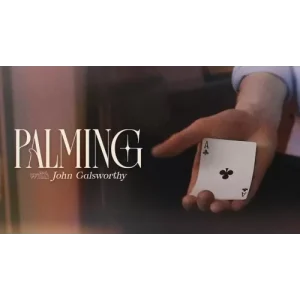 The Expert Palming Session By John Galsworthy