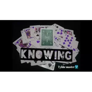 Knowing by Tybbe Master