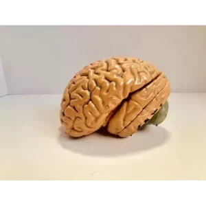 Mental Thoughts Vol 1 by Kassim Beydoun