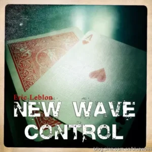 New Wave Control by Eric Leblon