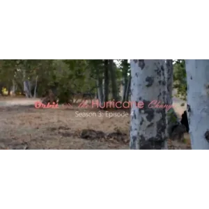 Orbit On The Hurricane Change by Chris Brown