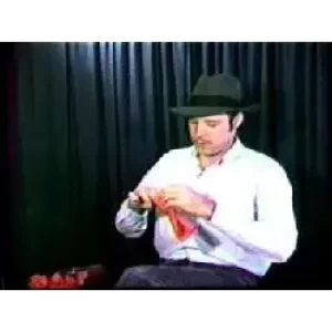 Paper Rose by Docc Hilford