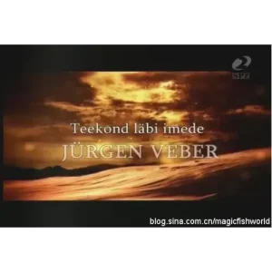 The Path Of Wonders by Jrgen Veber