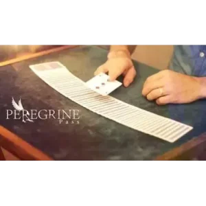 Peregrine Pass by Daniel Prado