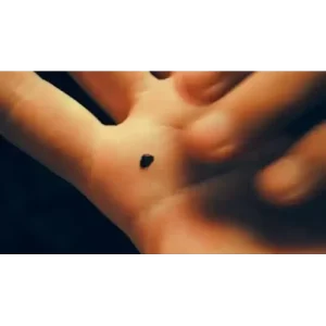 Permanent Ink by Dalton Wayne