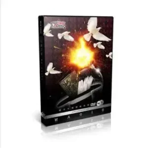 Pigeon Pigeons Road Stage Magic Teaching by Jacky