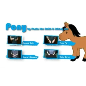 Pony by Ponta The Smith & Johnny Jun