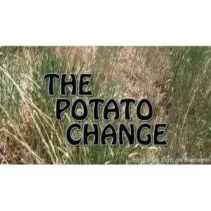Potato Change by Gerald Robinson