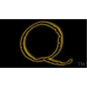 Q – The Quantum Connection by Cosmo Solano