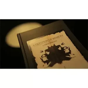 Question Of Memory by David Berglas