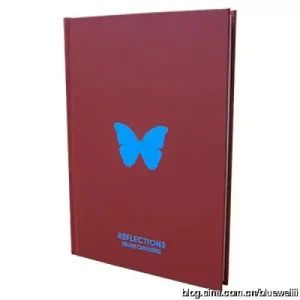 Reflections by Helder Guimaraes