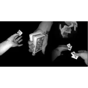 Rip by Daniel Madison