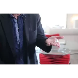 Two Variation Using the Bobo Palm By Rocco Silano