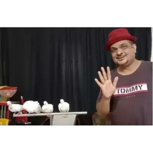 How to Train Your Doves By Sachin.K.M