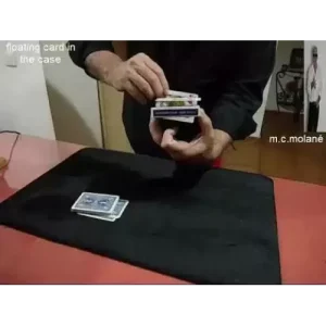 Floating Card 3 By Salvador Molano