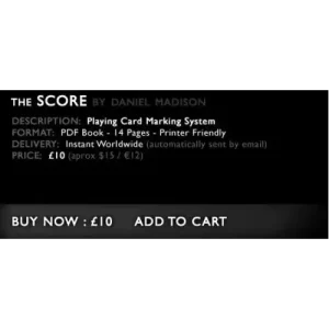 The Score by Daniel Madison