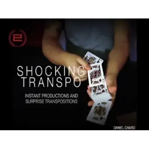 Shocking Transpo by Daniel Chard