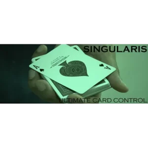 Singularis by Vivek Singhi