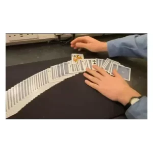 Skeleton Theory (Sleightly Obsessed) By Andrew Frost