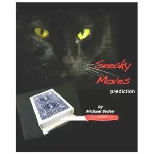Sneaky Moves by Michael Boden