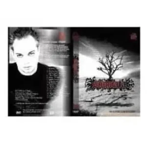 Stigmata by Wayne Houchin