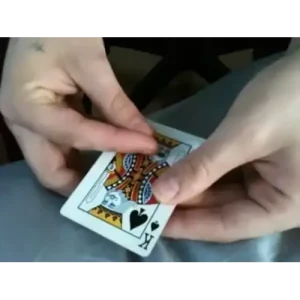 Super Cool Nightshades by Eric Ross