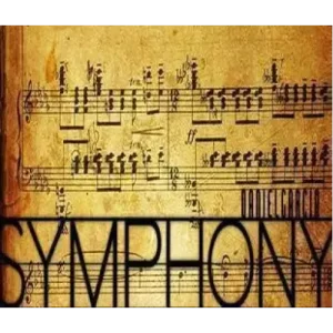 Symphony by Daniel Garcia