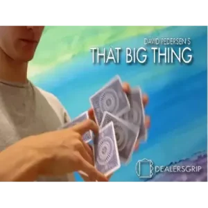 That Big Thing by David Pedersen