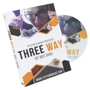 Three Way by Wei Ding & System 6