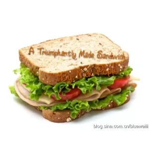 A Triumphantly Made Sandwich by Nick Popa