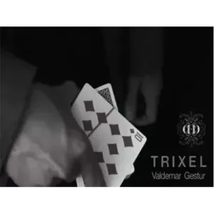 Trixel by Valdemar Gestur