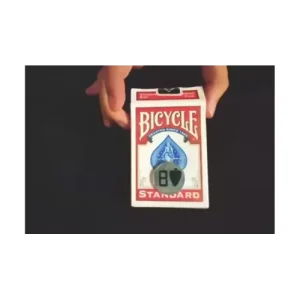 Visionary by David Alvarez Miro