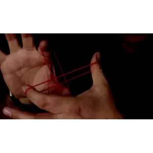 Fox’s Handcuffs By Wayne Fox