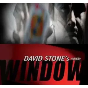Window by David Stone
