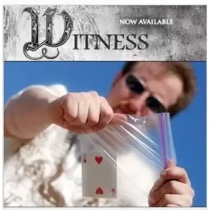 Witness by Lee Asher