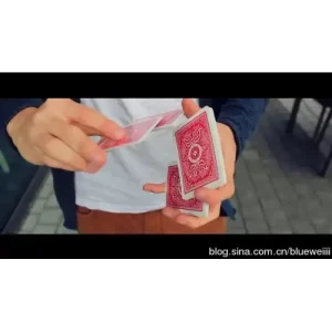 The Xch Project by Dominic Witt