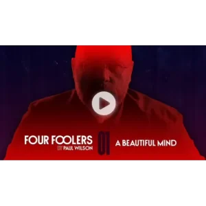 A Beautiful Mind by Paul Wilson