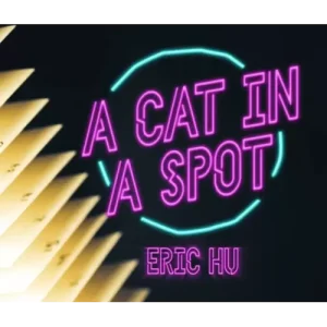 A Cat In A Spot by Eric Hu