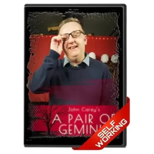 A Pair Of Geminis by John Carey