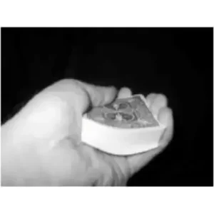 Absolute Zero Evolution by Paul Wilson