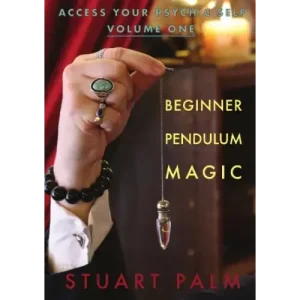 Access Your Psychic Self – Volume One – Beginner P by Stuart Palm