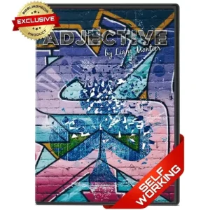 Adjective by Liam Montier