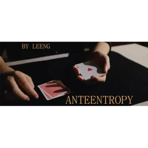 Anteentropy by Leeng