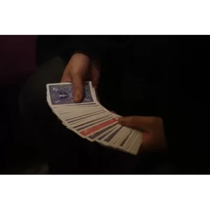 Anywhere by David Luu