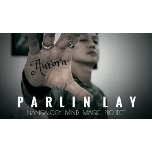 Aurora by Parlin Lay