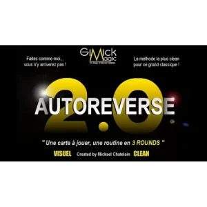 Autoreverse 2.0 by Mickael Chatelai