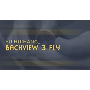 Backview 3 Fly by Yu Huihang